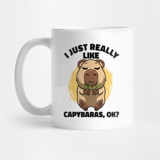 I Just Really Like Capybaras Lover Rodent Zoo Cute Capybara Mug